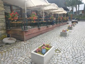 donice-zaadoptowane-przez-spolke-polskie-tatry-s-a_f (1)